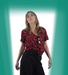 Camisa Song Kol cebra verde (copia)