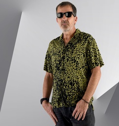 Camisa Legazpi verde